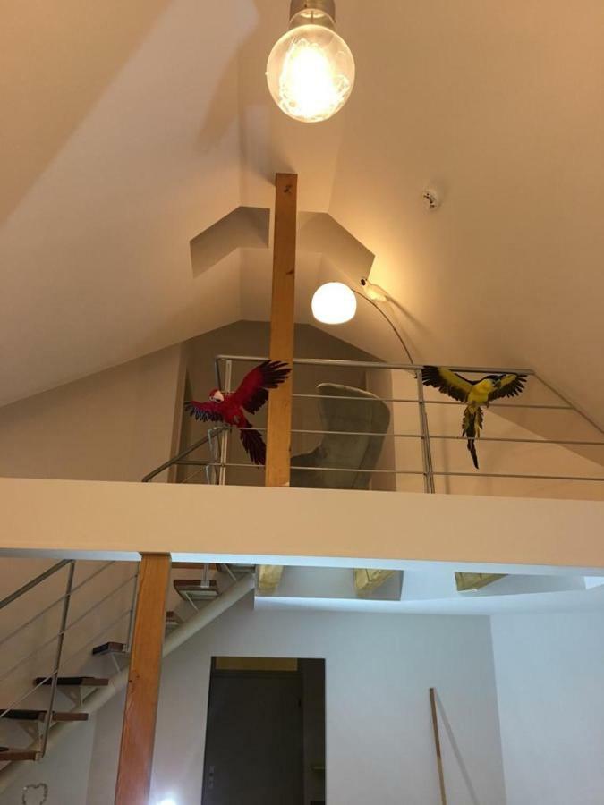 Ferienwohnung Ferienimspessart OG Bad Soden-Salmünster Exterior foto
